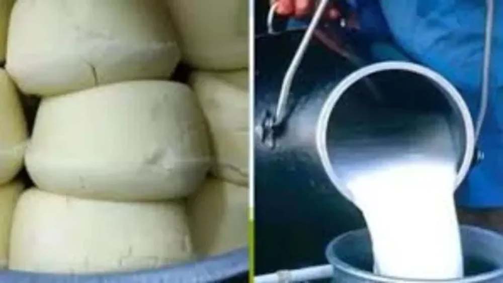 रक्षाबंधन से पहले UP में खाद्य सुरक्षा अभियान तेज, 18 हजार किलो से ज्यादा असुरक्षित सामान नष्ट