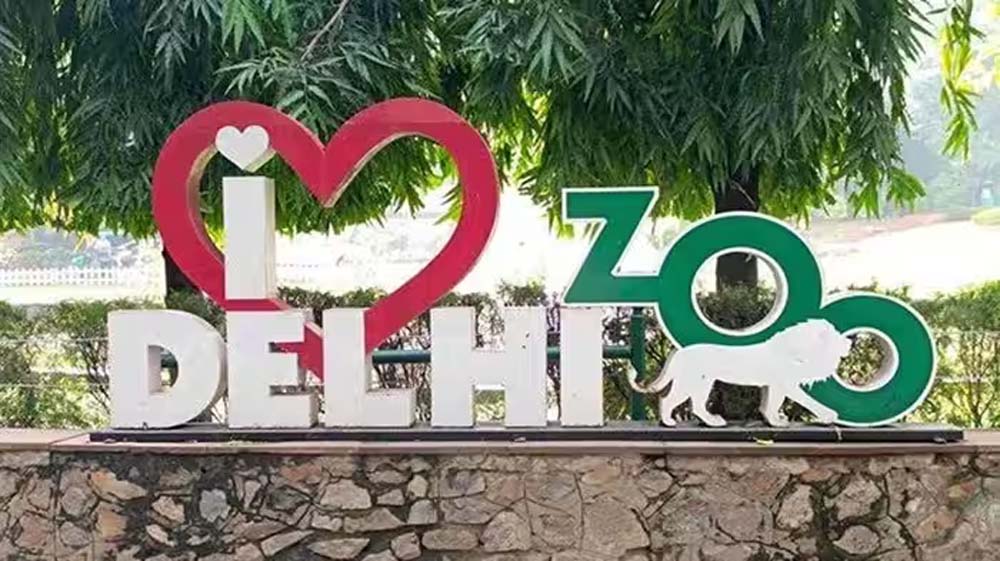 60 करोड़ से बनेगा दिल्ली जू का नया एंट्रेंस प्लाजा, बस यात्रियों को भी मिलेगी सीधी एंट्री