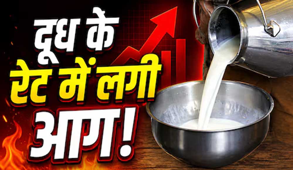 दूध हुआ महंगा, कीमतों में ₹9 तक की बढ़ोतरी; त्योहारों से पहले उपभोक्ताओं पर बढ़ा बोझ