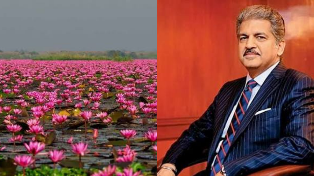 भारत का एक अनूठा कोना… इंदौर की इस जगह पर आया आनंद महिंद्रा का दिल