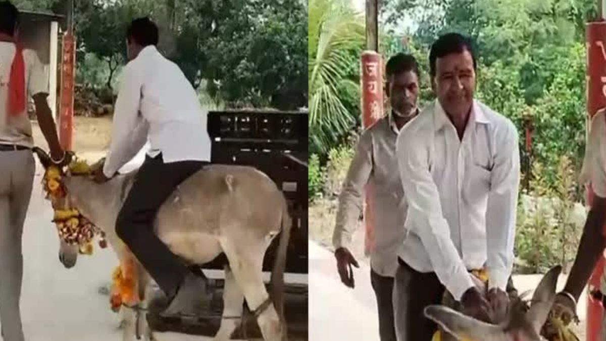 इंदौर में युवक ने गधे पर बैठकर श्मशान की परिक्रमा लगाई, वीडियो हुआ वायरल
