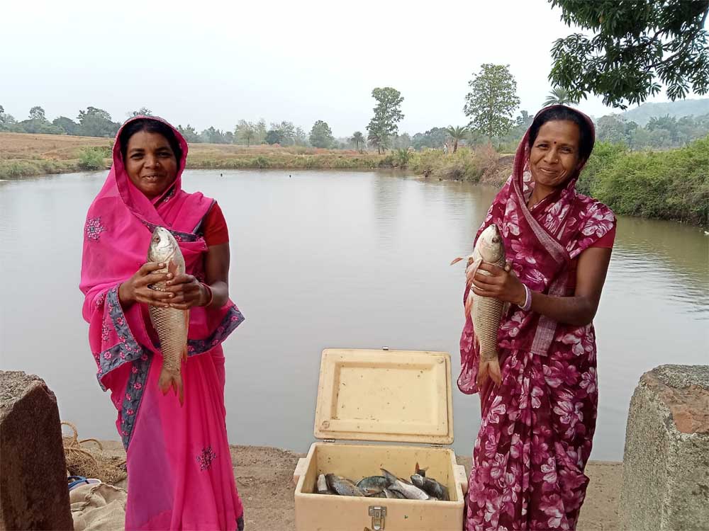 मछली पालन से सशक्त हुईं मनोरा और दुलदुला की महिलाएं, लाखों की आय से बदली जीवन की तस्वीर