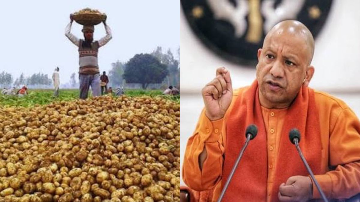 किसानों को योगी सरकार की बड़ी राहत, आलू के भंडारण शुल्क में मिलेगी ₹1 प्रति किलो छूट
