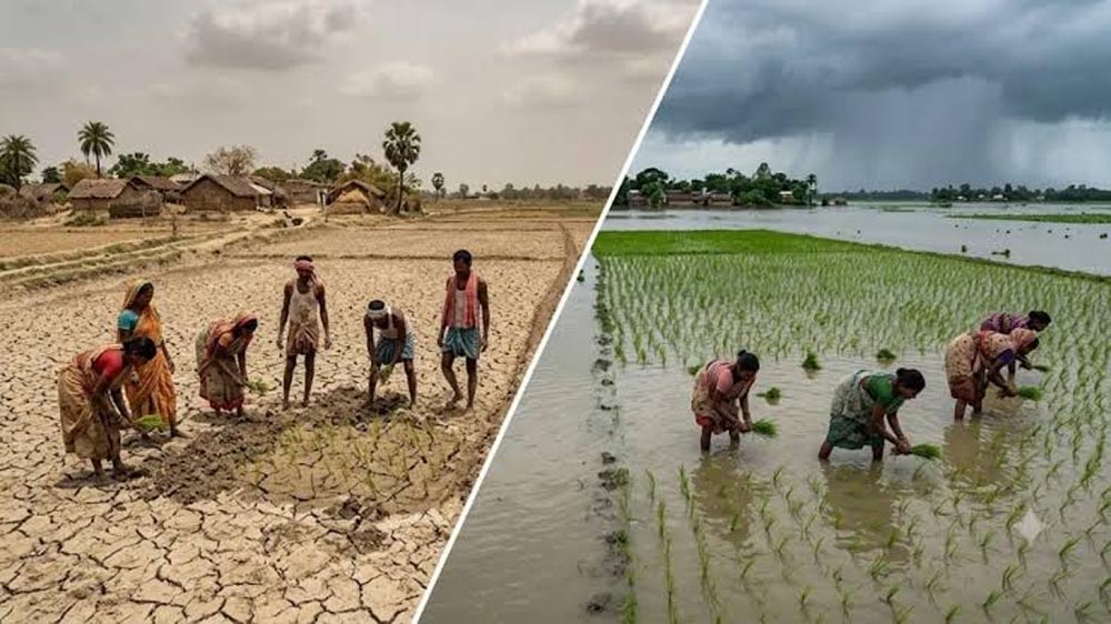मानसून में बारिश का असमान वितरण, खेती पर असर; बिहार के 14 जिलों में बाढ़ का संकट