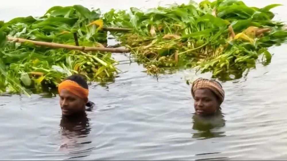सिवान में बाढ़ से बेहाल दियारा क्षेत्र, स्कूल चारों तरफ से पानी से घिरा
