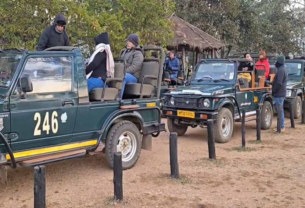 कान्हा में जंगल सफारी के नियम बदले, HSRP नंबर प्लेट वाले वाहन ही होंगे मान्य; दस्तावेजों की होगी जांच