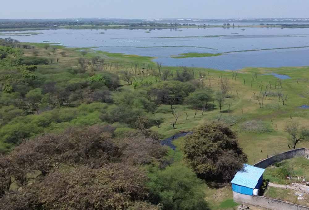 बड़ा तालाब-कलियासोत के आसपास अतिक्रमण का मामला, 5 दिन के सर्वे में मिले फार्म हाउस-रेस्टोरेंट; NGT में सुनवाई आज
