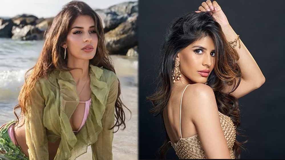 डीप नेक ब्लाउज में हार्दिक पंड्या की EX गर्लफ्रेंड ने किया डांस, वीडियो ने मचाई धूम