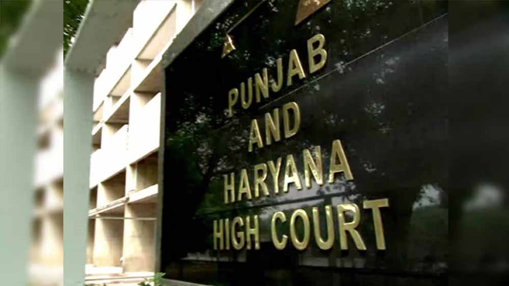 42 साल बाद मिला पेंशन का अधिकार, हाईकोर्ट ने सेना से निकाले गए जवान की विधवा के पक्ष में सुनाया फैसला