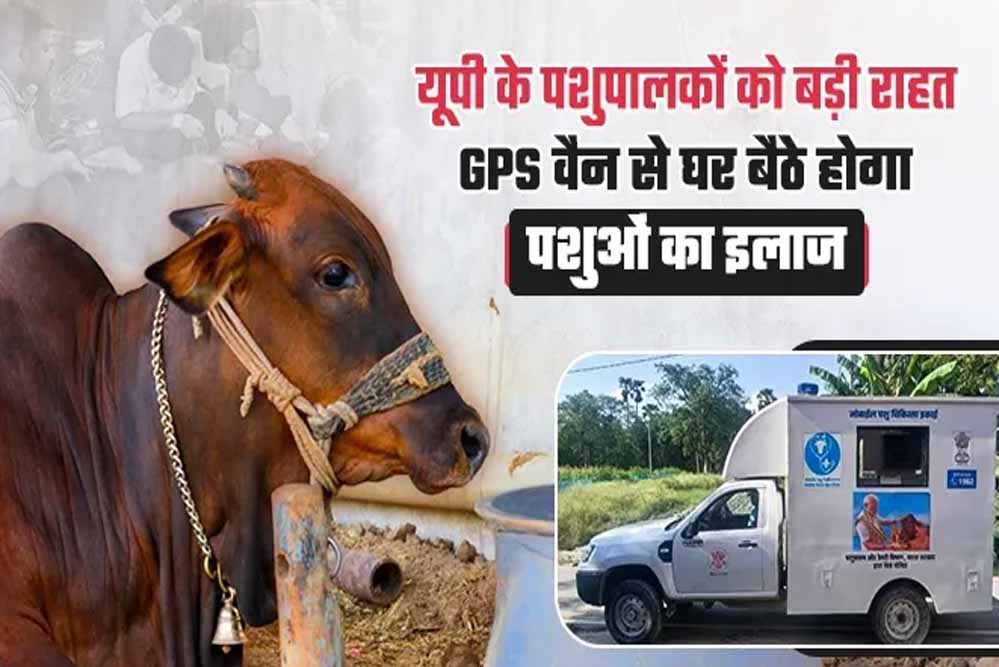 योगी सरकार की बड़ी पहल, हर जिले में गोवंश के लिए बनेगा इमरजेंसी रेस्क्यू सिस्टम