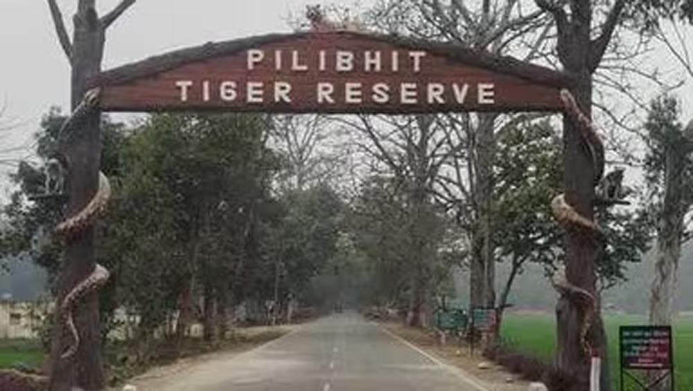 टाइगर रिजर्व में बढ़े टिकट के दाम, विदेशी पर्यटकों को अब देने होंगे 1000 रुपये