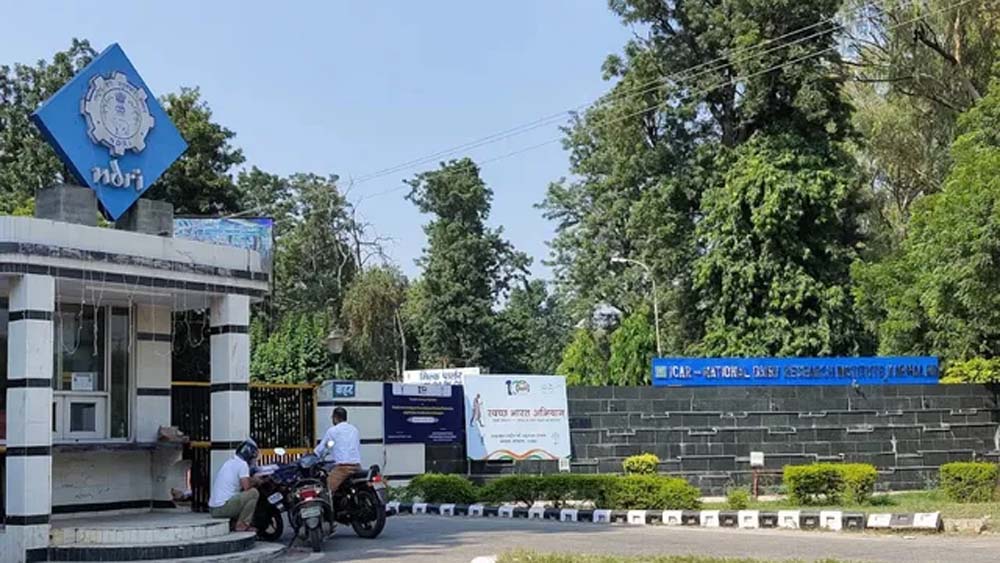 अब मौके पर होगी दूध में फार्मेलिन की जांच, NDRI की पेपर स्ट्रिप तकनीक तैयार