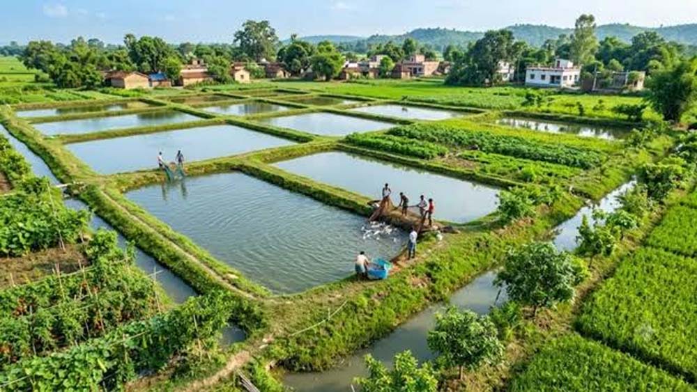 किसानों के लिए बड़ी योजना, चौर भूमि पर तालाब बनाने पर मिलेगा 50% अनुदान