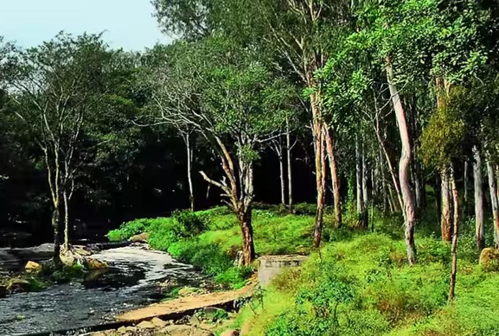साउथ रिज फेज-2 में 400 हेक्टेयर जमीन, एलजी की मंजूरी का इंतजार