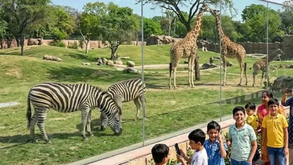 वन्य प्राणी सुरक्षा सप्ताह में बड़ी सौगात, हरियाणा के चिड़ियाघरों में 7 दिन निशुल्क प्रवेश