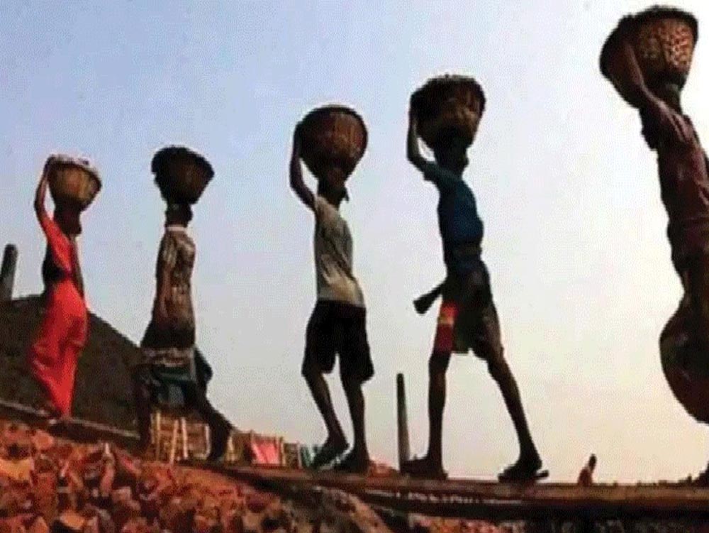 अब 50.43 सीएफटी मिट्टी कटाई पर मिलेगी एक दिन की मजदूरी