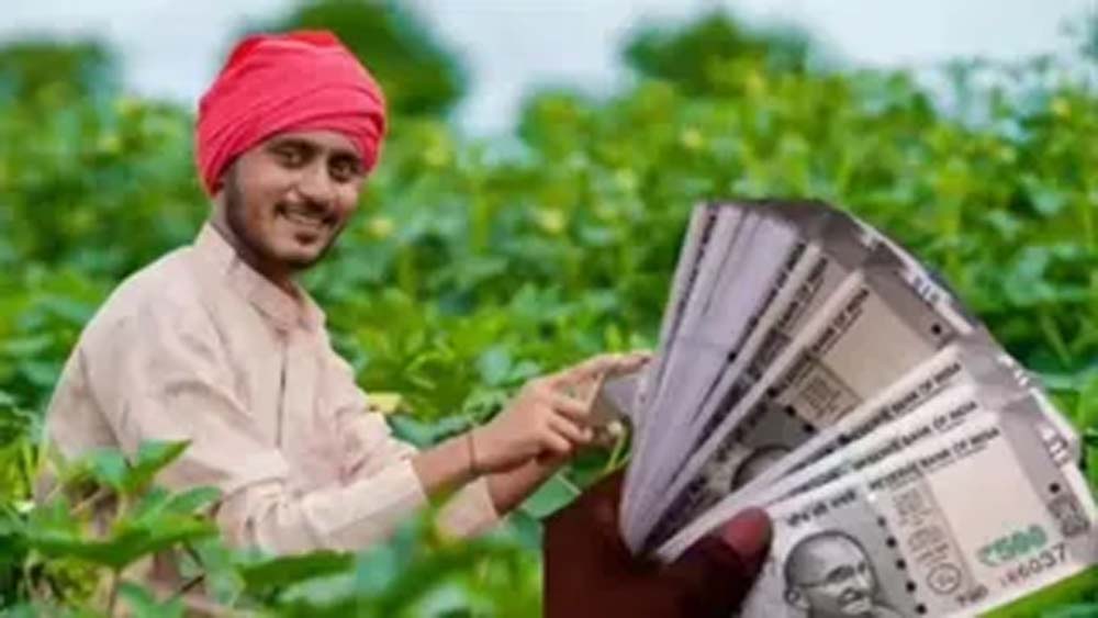 सब्जी-मसाले से फूलों तक खेती पर मिलेगी आर्थिक मदद, जानें किस फसल पर कितना अनुदान
