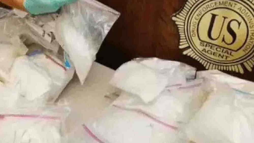 पिज्जा रेस्टोरेंट की आड़ में चल रहा था ड्रग सिंडिकेट! अमेरिका में पंजाबी युवक गिरफ्तार, 40 किलो कोकीन जब्त