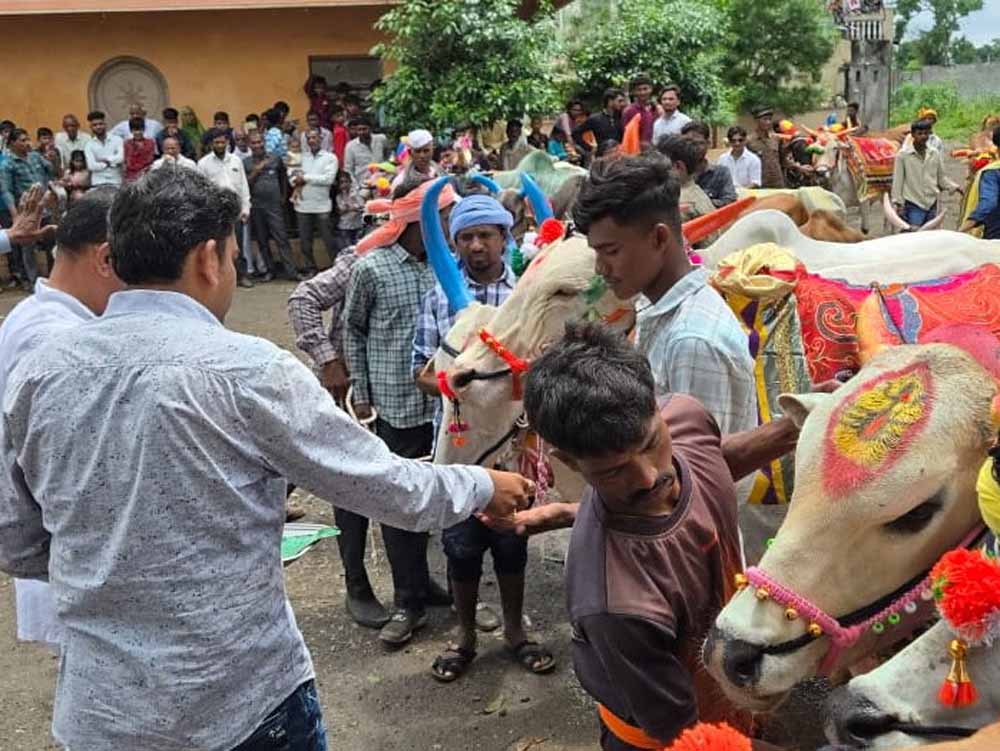 पोला पर्व पर छत्तीसगढ़ में खास आयोजन, CM विष्णुदेव साय होंगे शामिल