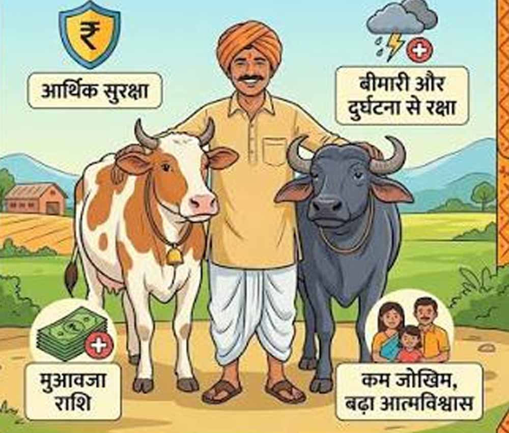 हरियाणा में पशुपालकों को बड़ी राहत, 19.19 लाख पशुओं का बीमा, ₹23.68 करोड़ की मदद