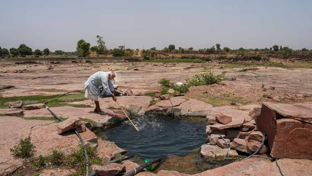 हरियाणा में मानसून कमजोर, 23% कम हुई बारिश; किसानों की बढ़ी चिंता