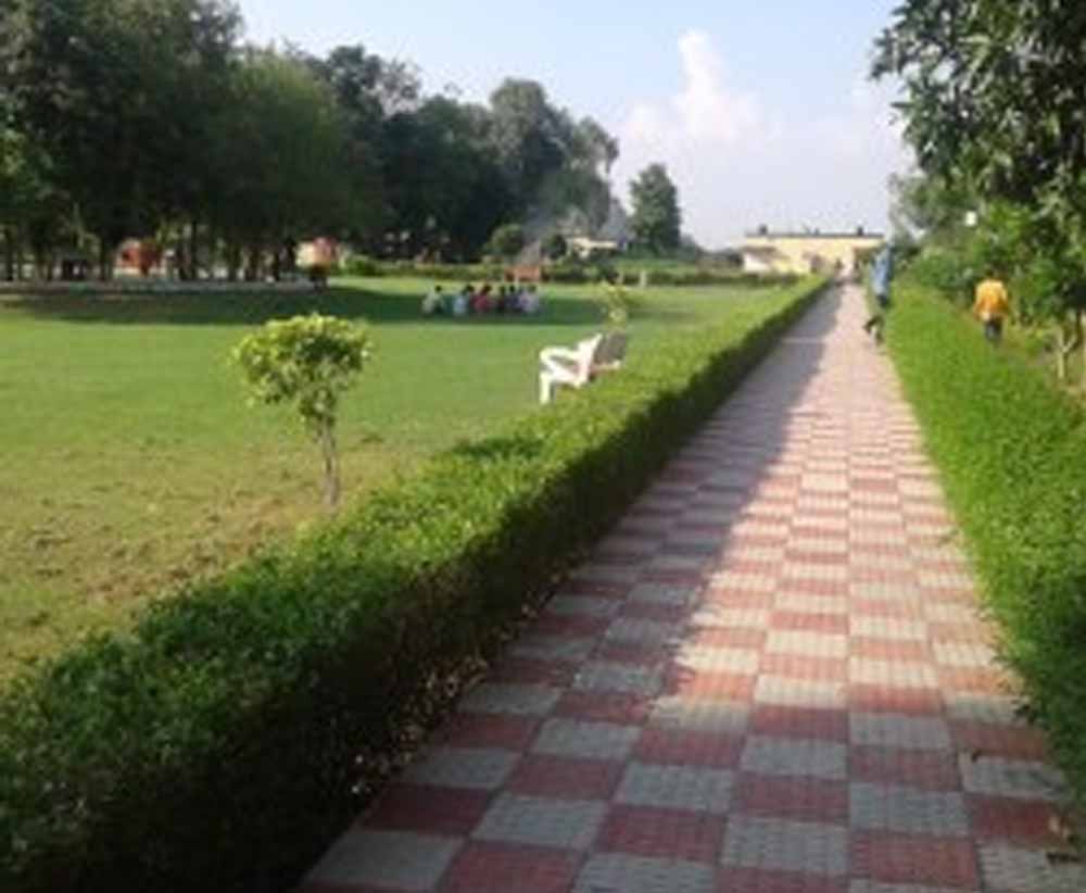 झज्जर में पार्कों को मिलेगी नई खूबसूरती, ₹1.58 करोड़ से होंगे विकास कार्य