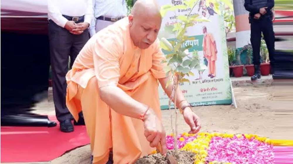 शिक्षकों के सम्मान में सभी वन प्रभाग लगाएंगे ‘एक पेड़ गुरु के नाम’