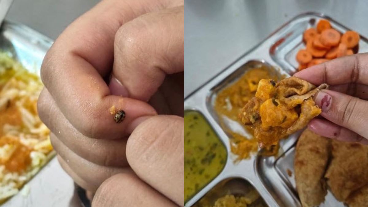 इंदौर की सेज यूनिवर्सिटी के गर्ल्स हॉस्टल के खाने में मिले कीड़े, छात्राओं का फूटा गुस्सा, 4 घंटे चला प्रदर्शन