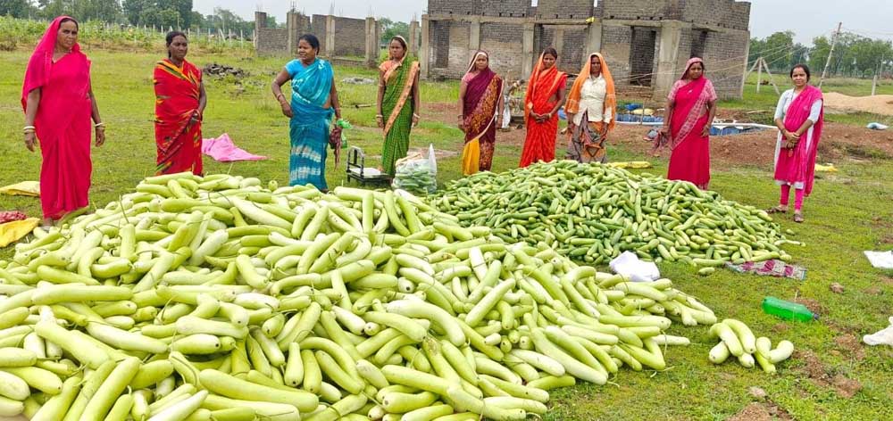 अतिक्रमण मुक्त 25 एकड़ बंजर भूमि पर उगी समृद्धि