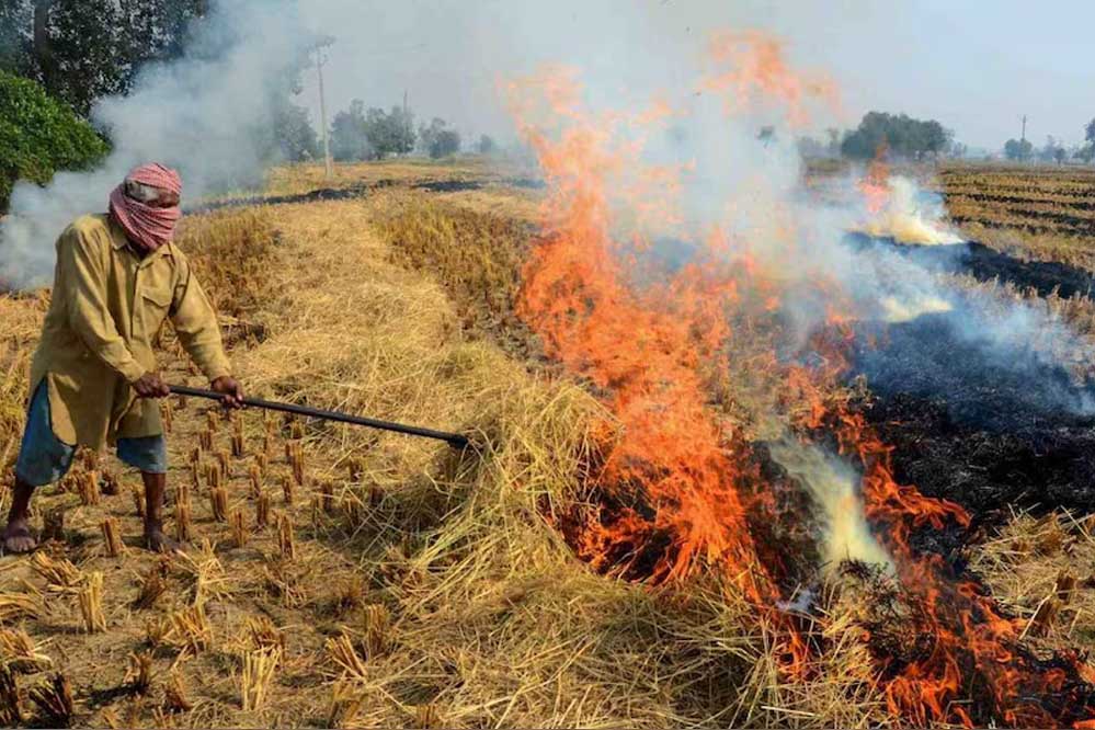 पराली बनेगी कमाई का जरिया, विदिशा में CBG प्लांट से अन्नदाता बनेंगे ‘ऊर्जादाता’