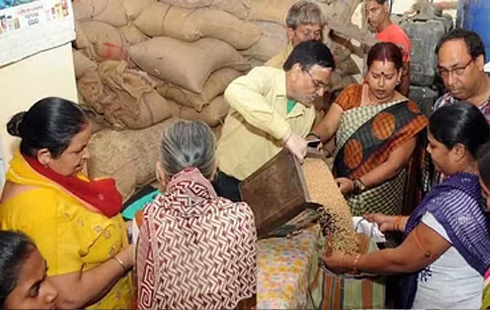 किसानों के लिए जरूरी खबर: समर्थन मूल्य पर धान-ज्वार-बाजरा उपार्जन हेतु 10 अक्टूबर तक कराएं पंजीयन