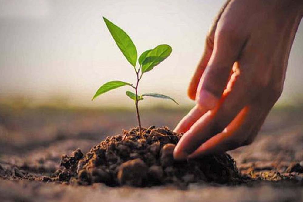 संकल्प से सिद्धि तक: पर्यावरण बचाने को पत्रकारों ने निभाई ऐतिहासिक जिम्मेदारी
