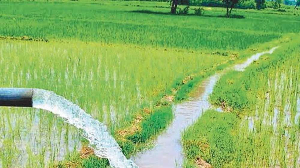 जल संसाधन विभाग द्वारा सिंचाई योजनाओं के 36 कार्यों के लिए 146.43 करोड़ रूपए स्वीकृत