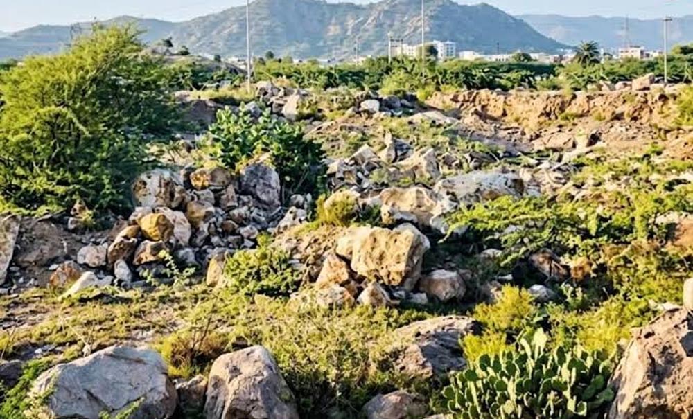 अरावली पर मंडराया मरुस्थलीकरण का खतरा, अजमेर समेत कई इलाकों में तेजी से घट रहीं चट्टानें