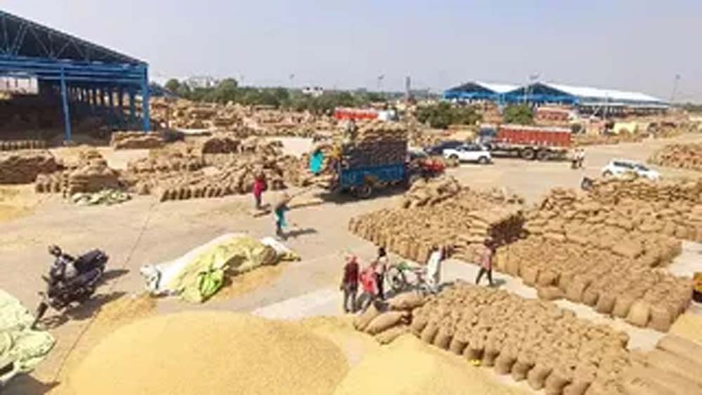 धान खरीद में पारदर्शिता पर जोर, हरियाणा में 1.52 लाख किसानों का सत्यापन पूरा