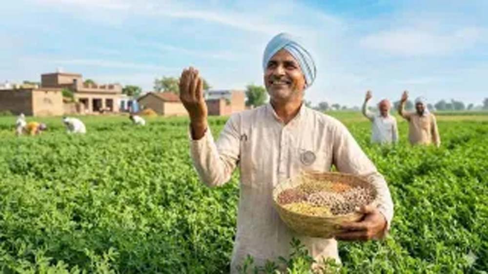 रबी फसल पर किसानों को राहत, झारखंड में सिर्फ 1 रुपये में मिलेगा फसल बीमा योजना का लाभ