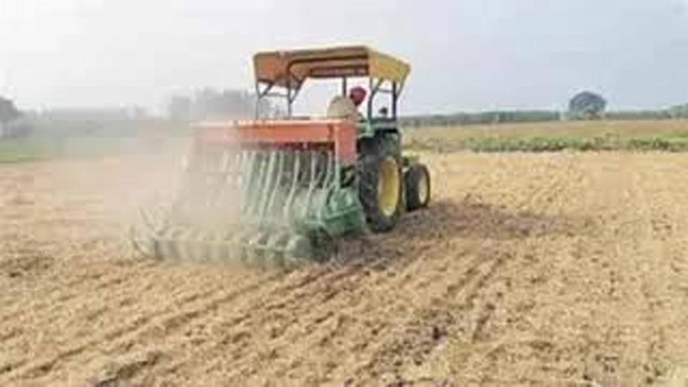 गेहूं और रबी मक्का की खेती करने वाले किसान ध्यान दें, बंपर पैदावार के लिए जान लें बुआई की सही तारीख