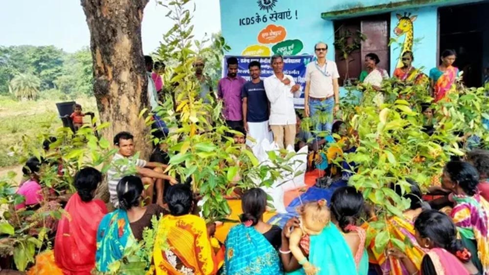 बिहार के जमुई में हर्बल खेती की पहल, महिलाओं को मिलेगा रोजगार और आय बढ़ाने का अवसर