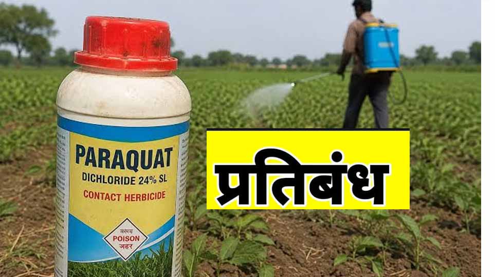 सरकार का बड़ा फैसला: पैराक्वेट डाइक्लोराइड के इस्तेमाल पर रोक, कंपनियों को बचा स्टॉक नष्ट करने के निर्देश