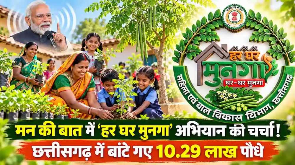 कुपोषण मुक्त छत्तीसगढ़ की तैयारी, हर घर तक मुनगा पहुंचाने का अभियान होगा शुरू