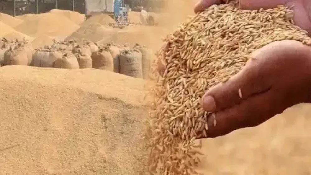 झारखंड में धान खरीद की तैयारी तेज, किसानों को MSP के साथ बढ़ा बोनस; कैबिनेट बैठक में लग सकती है मुहर