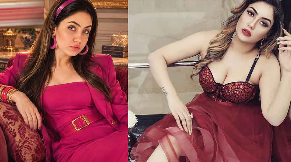 साइबर ठगी केस में श्रद्धा दुबे को कोर्ट का नोटिस, जब्त स्कोडा सुपर्ब कार पर 30 अक्टूबर को सुनवाई