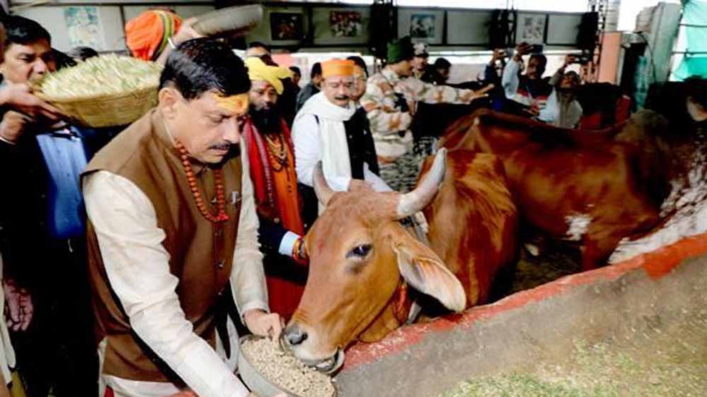 CM डॉ. यादव ने दिए आदर्श गौशाला जल्द तैयार करने के निर्देश, विभागीय योजनाओं पर चर्चा