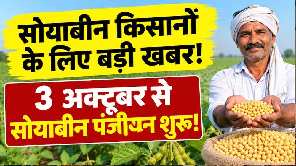 सोयाबीन किसानों के लिए बड़ी खबर, 3 अक्टूबर से पंजीयन; खाते में भेजे जाएंगे ₹1