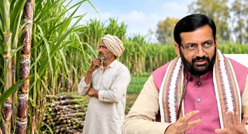 हरियाणा में गन्ने के दाम बढ़ाने का ऐलान, 2027-28 में किसानों को मिलेगा 450 रुपये प्रति क्विंटल भाव