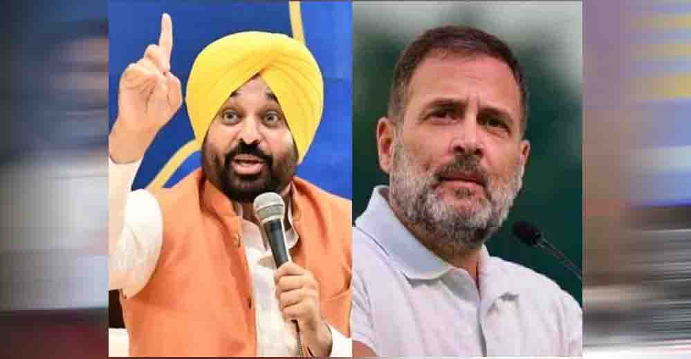 ‘अभी पास भी नहीं कर पाए, गोल करने की बात कर रहे हैं’, राहुल गांधी पर भगवंत मान का कटाक्ष