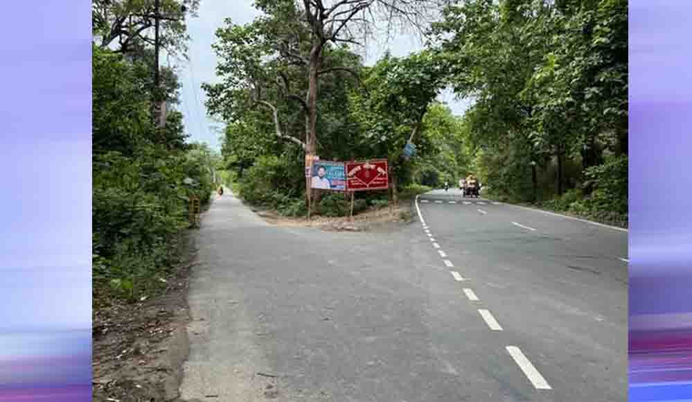Bhopal Master Plan: वन क्षेत्रों और बाघों के प्रजनन जोन से गुजरेंगी सड़कें, प्लानिंग पर उठे सवाल