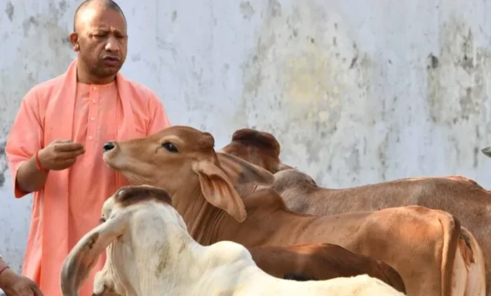 योगी सरकार की पहलः दिवाली पर ‘एक दीया गोमाता के नाम’ अभियान, युवा लेंगे गो संरक्षण का संकल्प