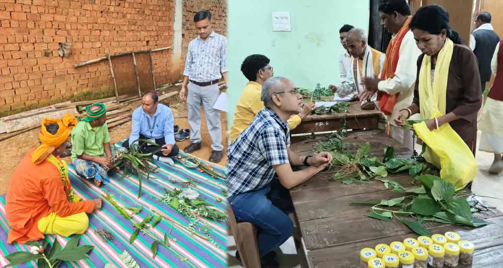 छत्तीसगढ़ के 6 जिलों में 312 वैद्यों का हुआ प्रमाणीकरण, अब 1,000 का टारगेट