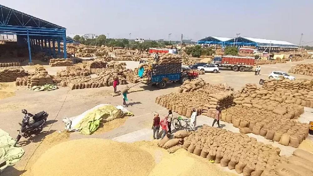 धान की अतिरिक्त पैदावार बेचने में नहीं होगी परेशानी, हरियाणा सरकार ने बदले नियम